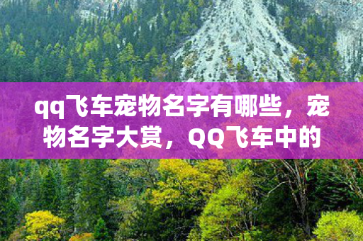 QQ飞车中的萌宠命名艺术图片