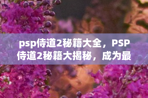 PSP侍道2秘籍大揭秘图片