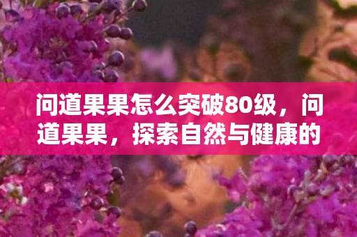 问道果果怎么突破80级图片