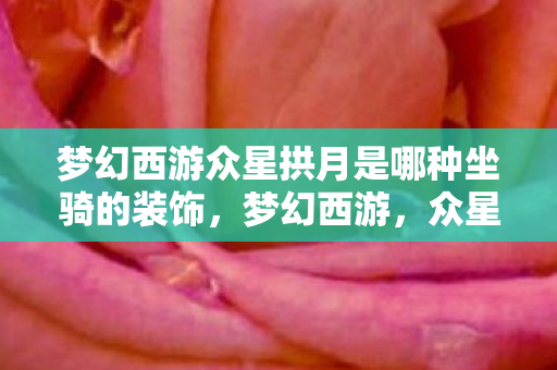 梦幻西游众星拱月是哪种坐骑的装饰图片