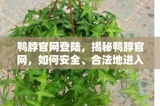 合法地进入并获取官方信息图片