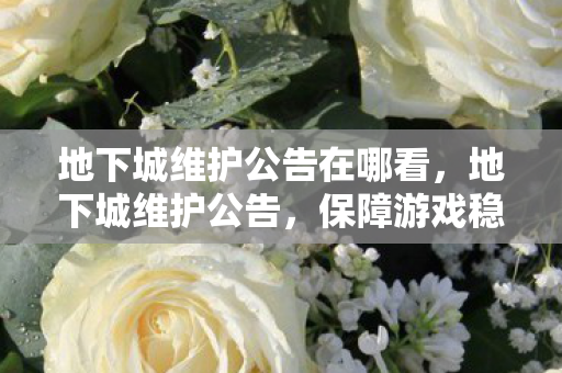 地下城维护公告在哪看图片