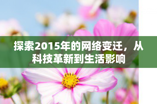 探索2015年的网络变迁图片