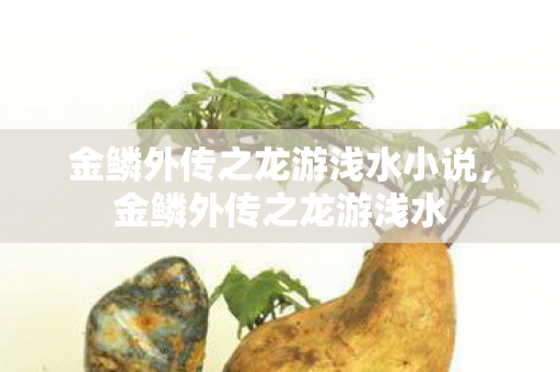 金鳞外传之龙游浅水小说图片