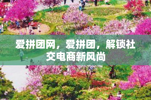 解锁社交电商新风尚图片