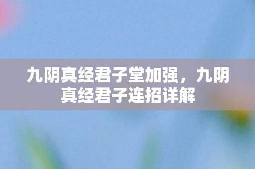 九阴真经君子连招详解图片