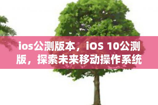 探索未来移动操作系统的前沿体验图片