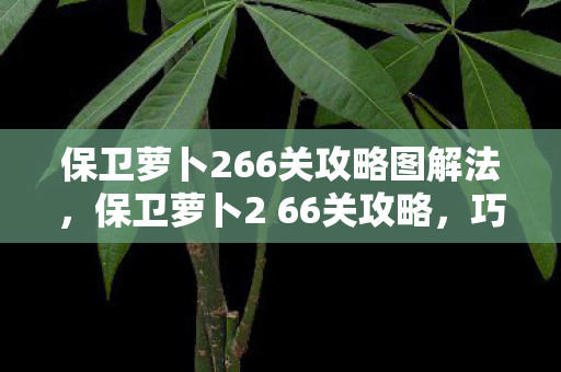 保卫萝卜266关攻略图解法图片