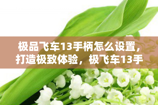 极品飞车13手柄怎么设置图片