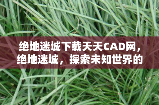 绝地迷城下载天天CAD网图片