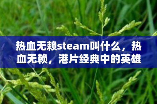 港片经典中的英雄情怀与现实反思图片