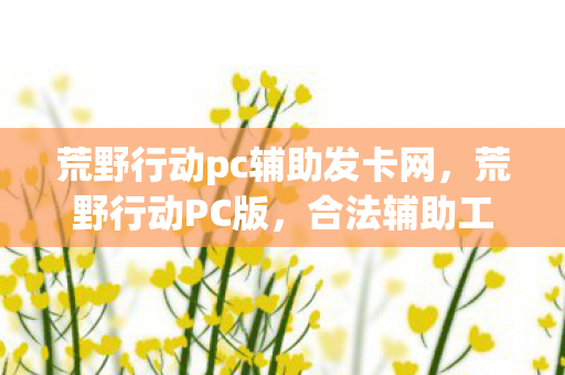 合法辅助工具助你提升游戏体验图片