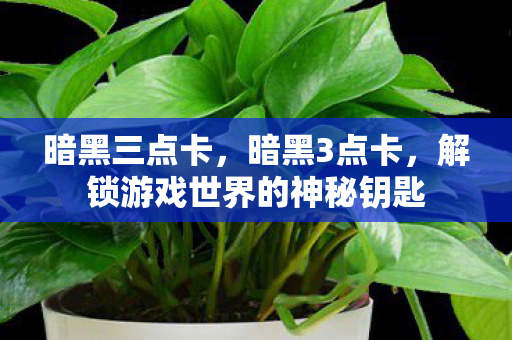 解锁游戏世界的神秘钥匙图片