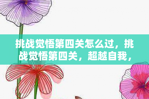 挑战觉悟第四关怎么过图片