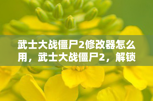 武士大战僵尸2修改器怎么用图片