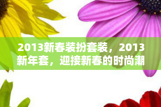 2013新春装扮套装图片