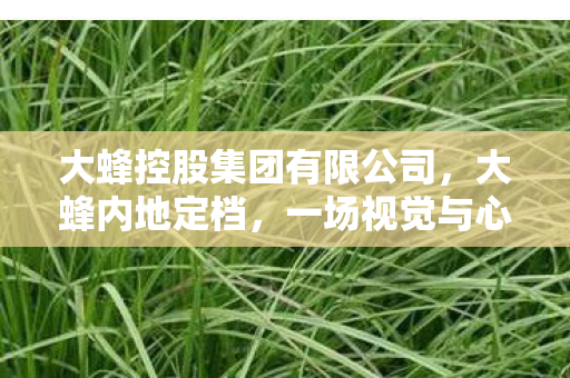 一场视觉与心灵的盛宴即将开启图片