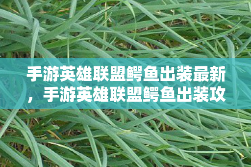 手游英雄联盟鳄鱼出装最新图片