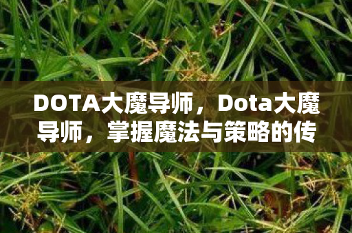 掌握魔法与策略的传奇英雄图片