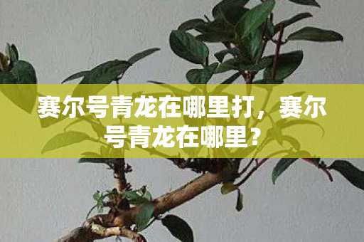 赛尔号青龙在哪里打图片