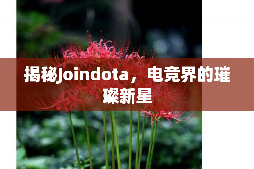 揭秘Joindota，电竞界的璀璨新星