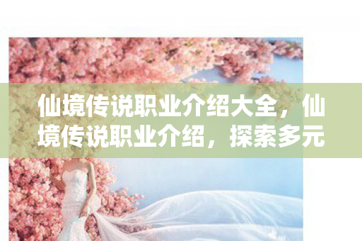 仙境传说职业介绍大全图片