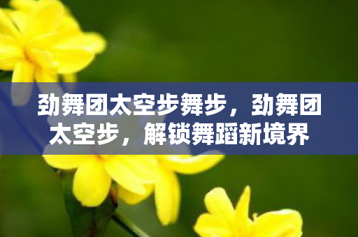 劲舞团太空步舞步图片