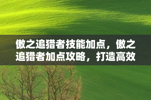 傲之追猎者技能加点图片