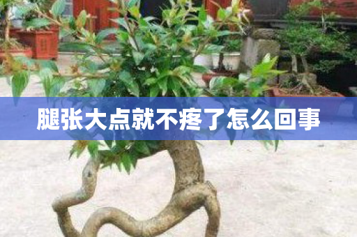 腿张大点就不疼了怎么回事图片