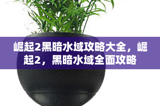 崛起2黑暗水域攻略大全图片