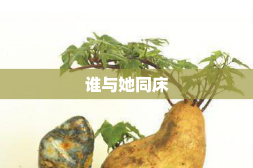 谁与她同床图片