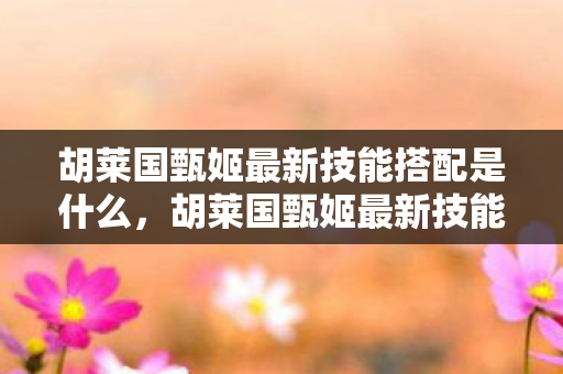 胡莱国甄姬最新技能搭配是什么图片