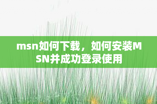如何安装MSN并成功登录使用图片