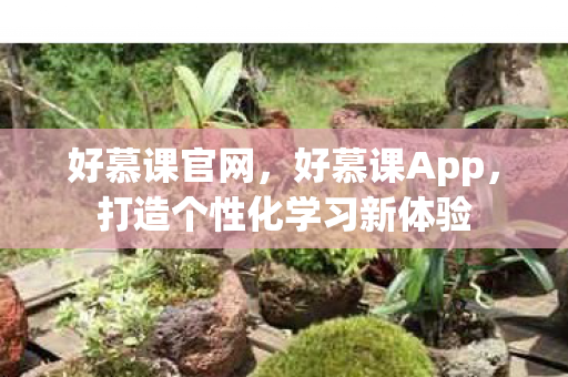 打造个性化学习新体验图片