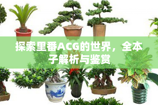 探索里番ACG的世界图片