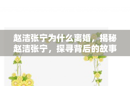 赵洁张宁为什么离婚，揭秘赵洁张宁，探寻背后的故事与成就