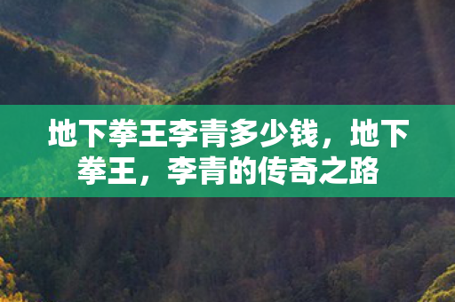 地下拳王李青多少钱图片