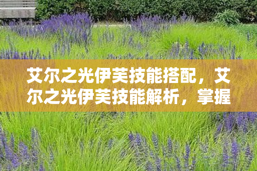 艾尔之光伊芙技能搭配图片