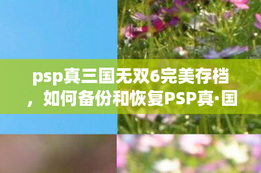 psp真三国无双6完美存档图片