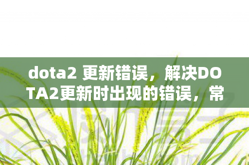 dota2 更新错误，解决DOTA2更新时出现的错误，常见问题及解决方案