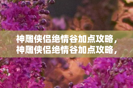 神雕侠侣绝情谷加点攻略图片