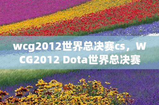 WCG2012 Dota世界总决赛图片