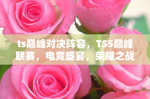 ts巅峰对决阵容，TS5巅峰联赛，电竞盛宴，荣耀之战