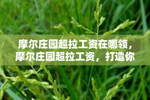 摩尔庄园超拉工资在哪领图片