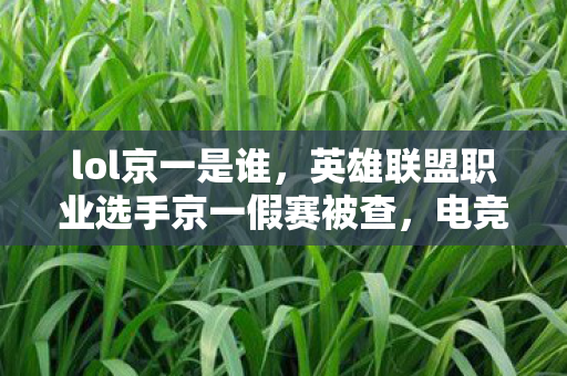 英雄联盟职业选手京一假赛被查图片