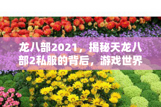 揭秘天龙八部2私服的背后图片