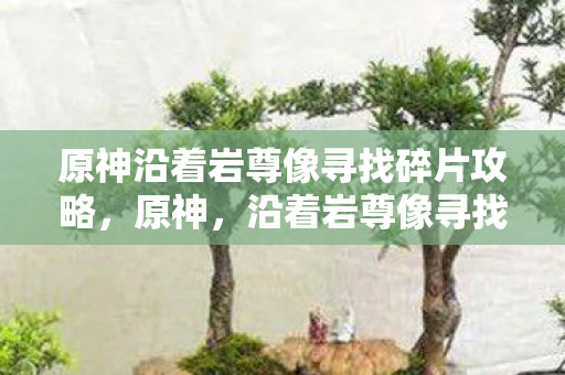 沿着岩尊像寻找碎片的冒险之旅图片