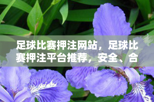 足球比赛押注平台推荐图片