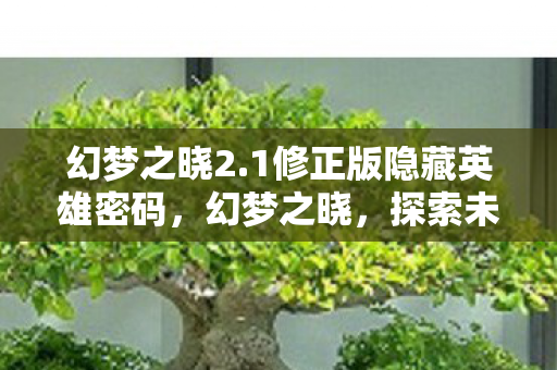 幻梦之晓2.1修正版隐藏英雄密码，幻梦之晓，探索未知世界的神秘之旅 2.1修正版
