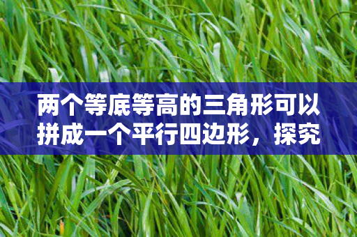 两个等底等高的三角形可以拼成一个平行四边形，探究LGD DD背后的故事与未来展望